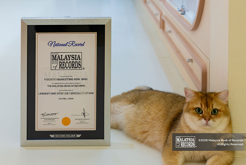 The-Malaysia-Book-of-Records-Largest-One-Stop-Cat-Specialty-Store-1